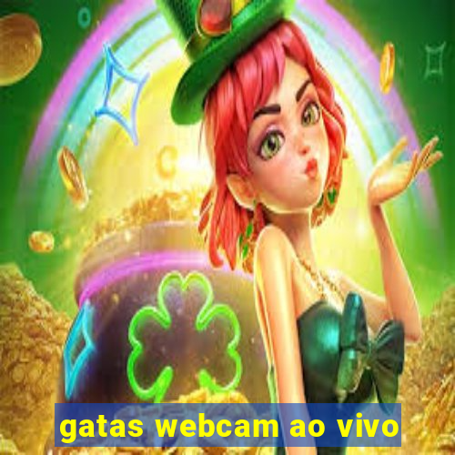 gatas webcam ao vivo