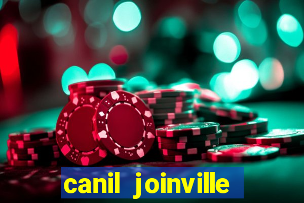 canil joinville vila nova