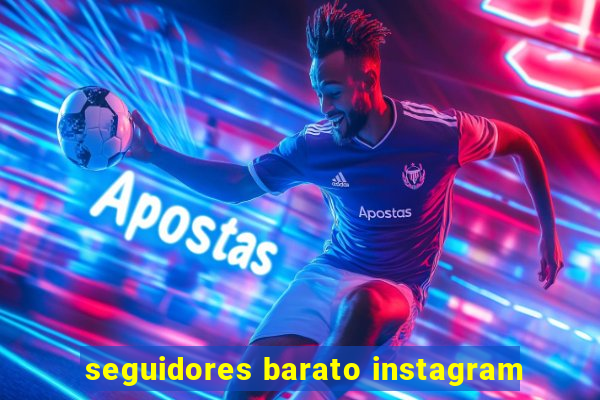 seguidores barato instagram