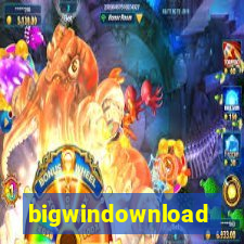 bigwindownload