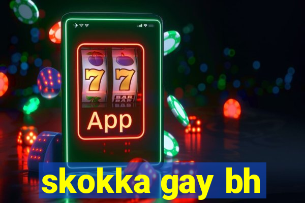 skokka gay bh